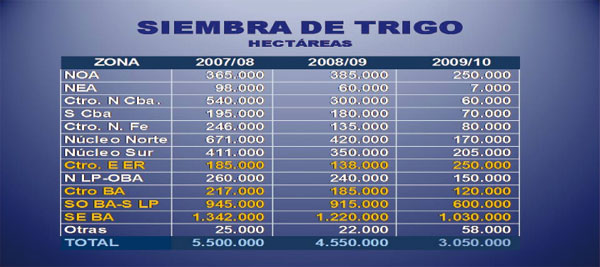 trigo 19 02 10g