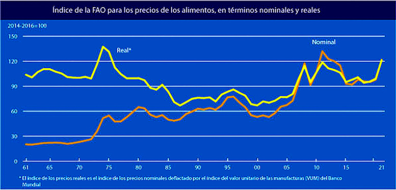  grafico