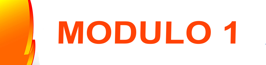 MODULO 1